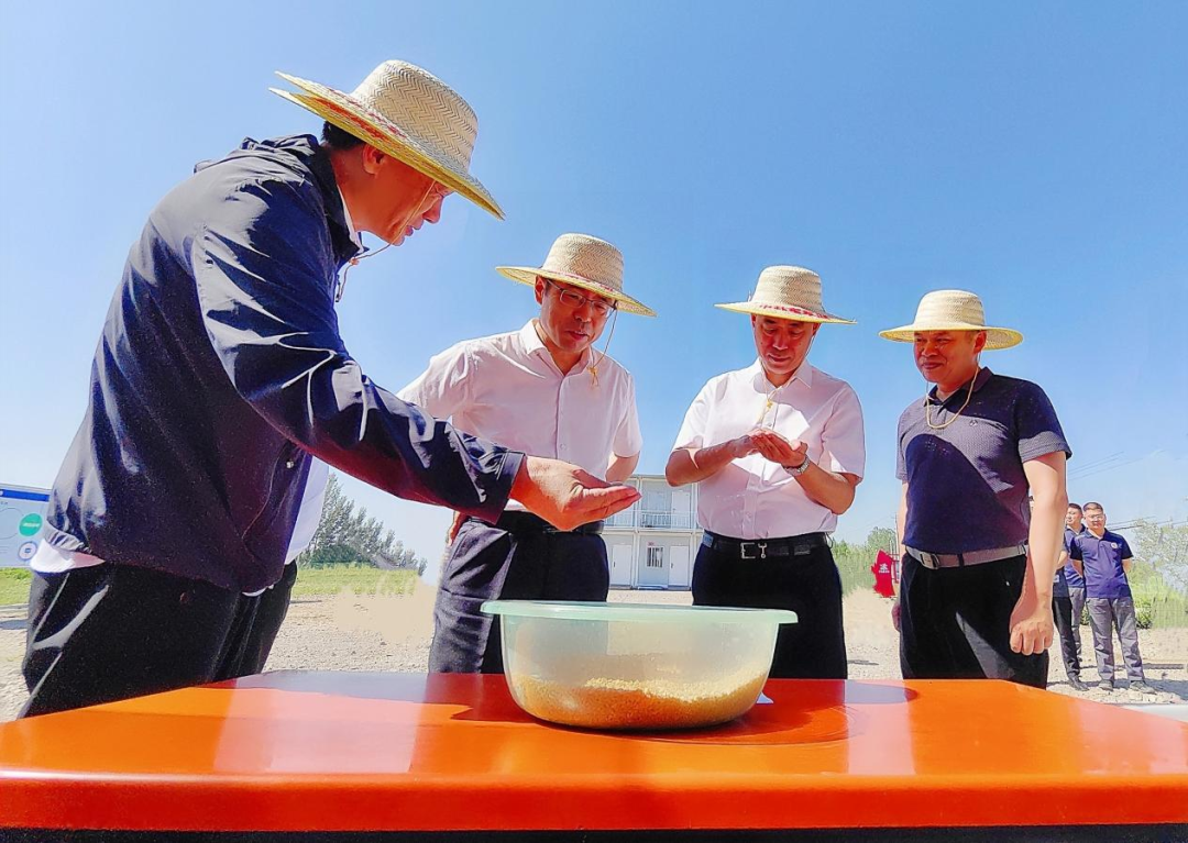 王云飞赴中林森旅所属中林东平湖开展主题教育专题调研