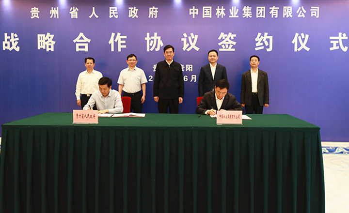 中林集团与贵州省人民政府签署战略合作协议