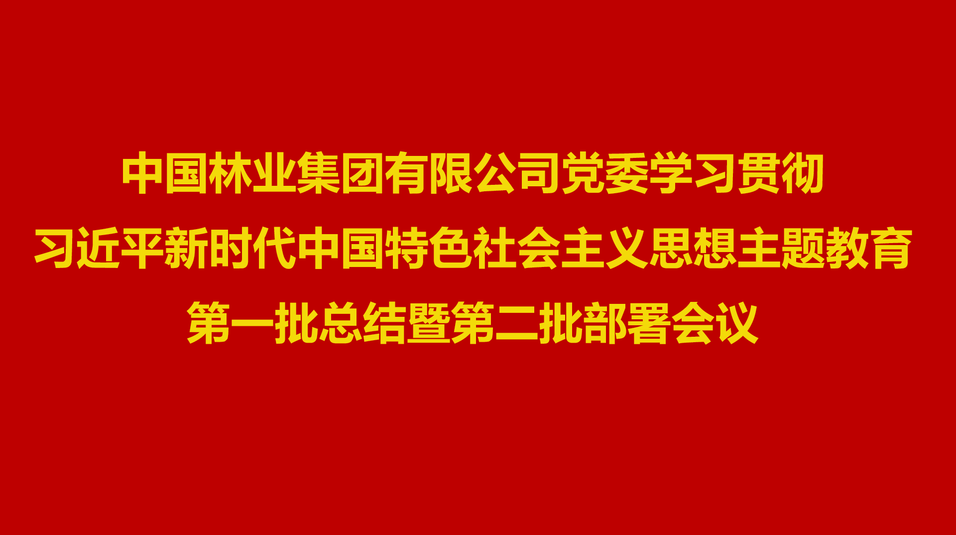 中林集团召开学习贯彻习近平新时代中国特色社会主义思想主题教育第一批总结暨第二批部署会议