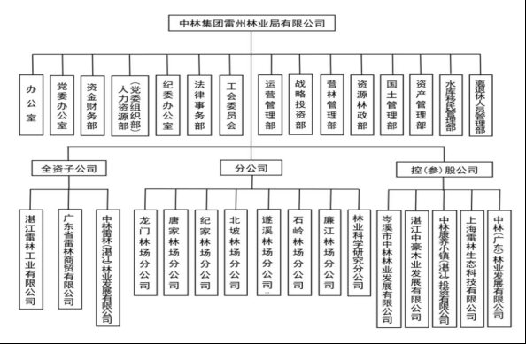 组织架构图